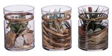 VASO CON PIANTINE H13