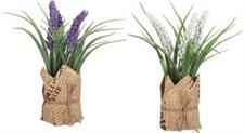 VASO CON LAVANDA H23CM