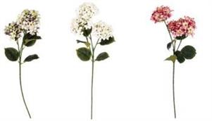 ORTENSIA 3 FIORI H72CM